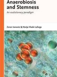 Anaerobiosis and Stemness