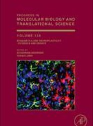 Epigenetics and Neuroplasticity - Evidence and Debate: Volume 128