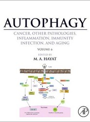 Autophagy: Cancer, Other Pathologies, Inflammation, Immunity, Infection, and Aging