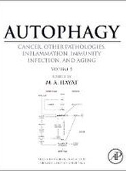 Autophagy: Cancer, Other Pathologies, Inflammation, Immunity, Infection, and Aging