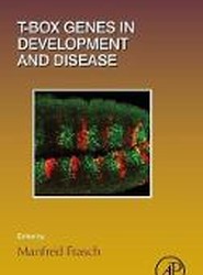 T-box Genes in Development and Disease: Volume 122