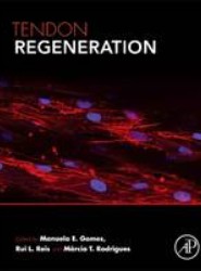 Tendon Regeneration