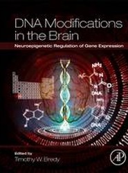 DNA Modifications in the Brain