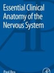 Essential Clinical Anatomy of the Nervous System