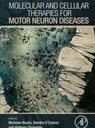 Molecular and Cellular Therapies for Motor Neuron Diseases