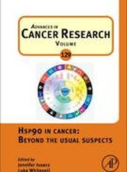 Hsp90 in Cancer: Beyond the Usual Suspects: Volume 129