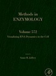 Visualizing RNA Dynamics in the Cell: Volume 572