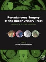 Percutaneous Surgery of the Upper Urinary Tract