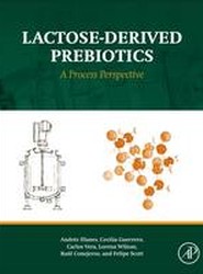 Lactose-Derived Prebiotics