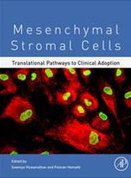 Mesenchymal Stromal Cells