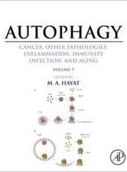 Autophagy: Cancer, Other Pathologies, Inflammation, Immunity, Infection, and Aging