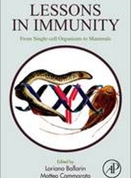 Lessons in Immunity