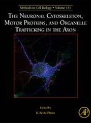 The Neuronal Cytoskeleton, Motor Proteins, and Organelle Trafficking in the Axon: Volume 131