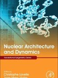 Nuclear Architecture and Dynamics: Volume 2