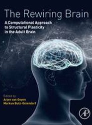 The Rewiring Brain