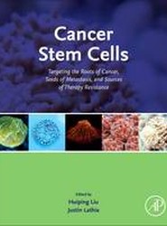 Cancer Stem Cells