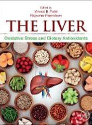 The Liver