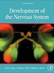 Development of the Nervous System