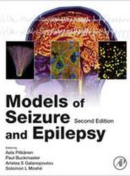 Models of Seizures and Epilepsy