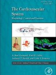 The Cardiovascular System: Volume 36A