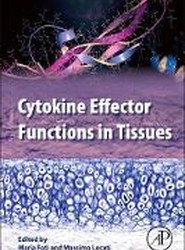 Cytokine Effector Functions in Tissues
