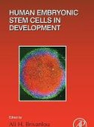 Human Embryonic Stem Cells in Development: Volume 129