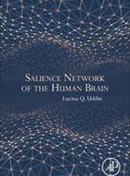 Salience Network of the Human Brain