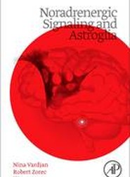 Noradrenergic Signaling and Astroglia