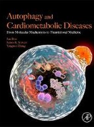 Autophagy and Cardiometabolic Diseases