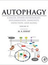 Autophagy: Cancer, Other Pathologies, Inflammation, Immunity, Infection, and Aging