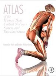 Atlas of the Human Body