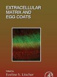 Extracellular Matrix and Egg Coats: Volume 130