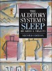 The Auditory System in Sleep