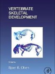 Vertebrate Skeletal Development: Volume 133