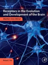 Receptors in the Evolution and Development of the Brain