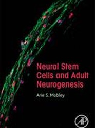 Neural Stem Cells and Adult Neurogenesis