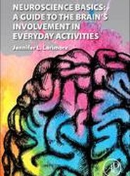 Neuroscience Basics