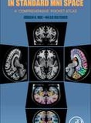 Human Brain in Standard MNI Space