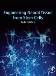 Engineering Neural Tissue from Stem Cells