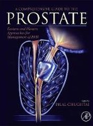 A Comprehensive Guide to the Prostate