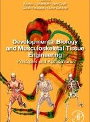 Developmental Biology and Musculoskeletal Tissue Engineering