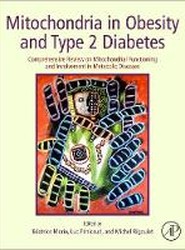 Mitochondria in Obesity and Type 2 Diabetes