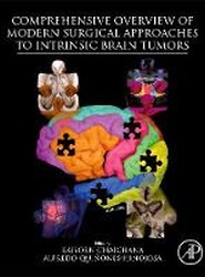 Comprehensive Overview of Modern Surgical Approaches to Intrinsic Brain Tumors