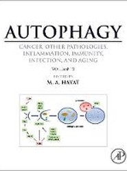 Autophagy: Cancer, Other Pathologies, Inflammation, Immunity, Infection, and Aging
