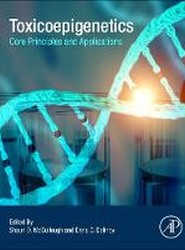 Toxicoepigenetics