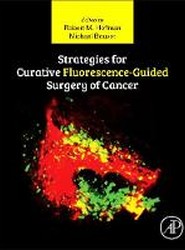Strategies for Curative Fluorescence-Guided Surgery of Cancer