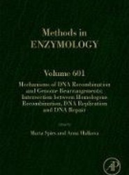 Mechanisms of DNA Recombination and Genome Rearrangements: Intersection Between Homologous Recombination, DNA Replication and DNA Repair: Volume 601