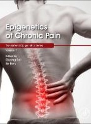 Epigenetics of Chronic Pain: Volume 7
