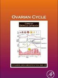 Ovarian Cycle: Volume 107