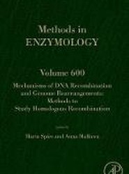 Mechanisms of DNA Recombination and Genome Rearrangements: Methods to Study Homologous Recombination: Volume 600